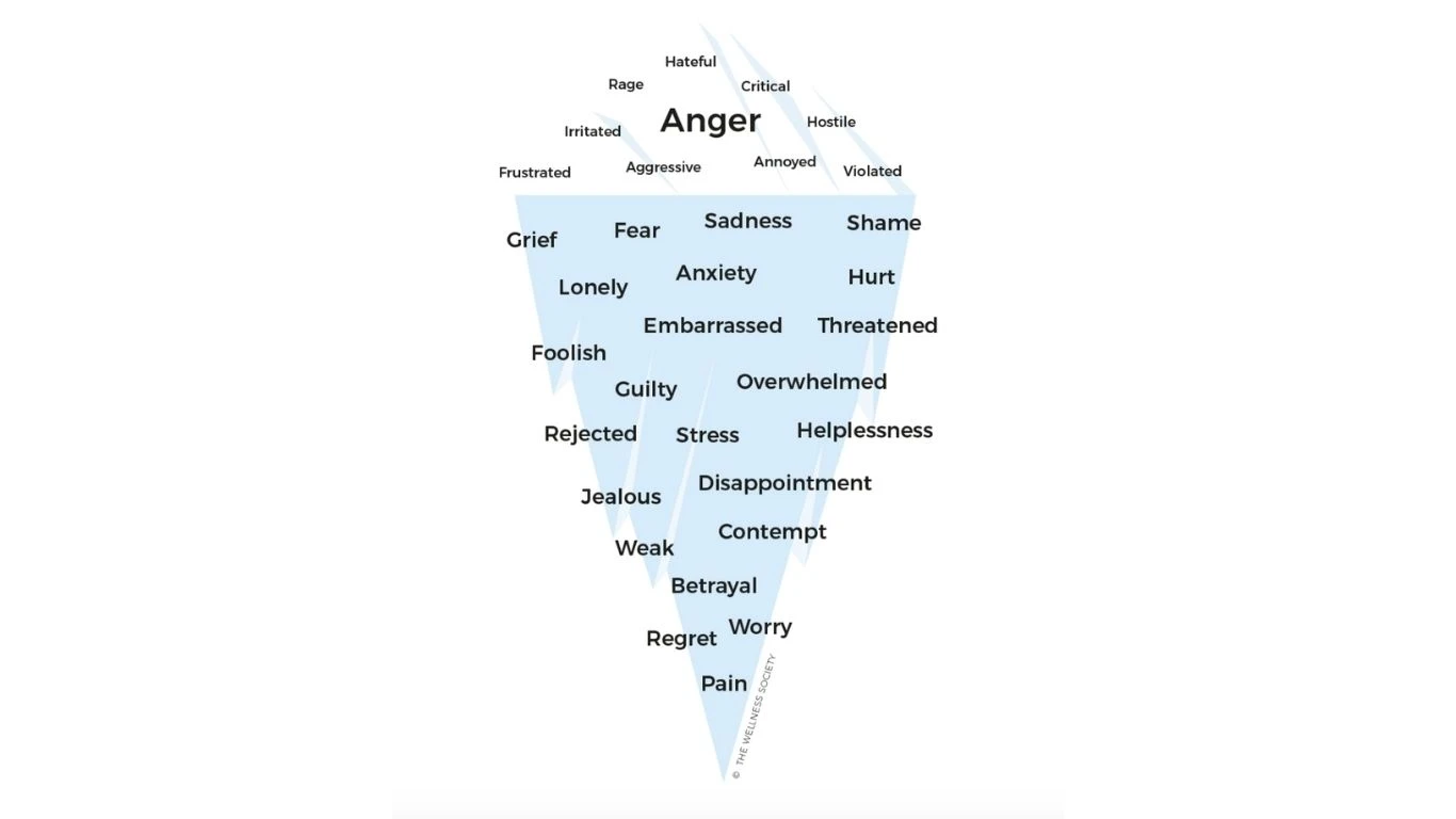Startup Founder Anger (3)